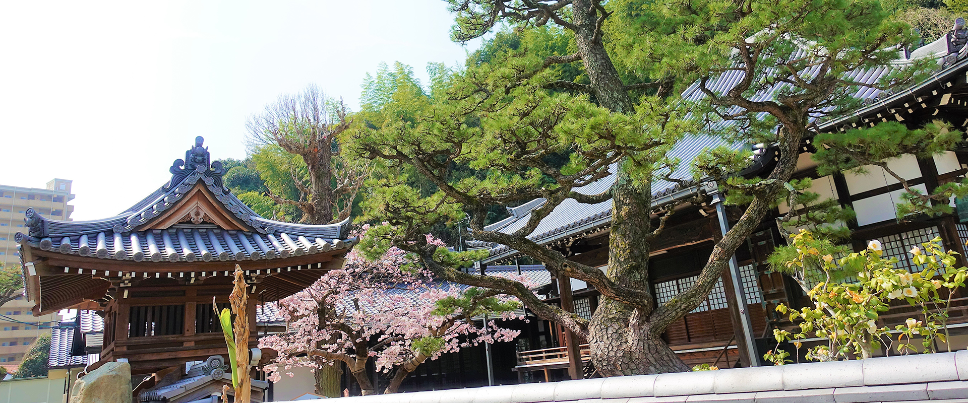 浄土真宗本願寺派　龍口山正順寺