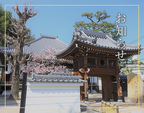 お知らせ